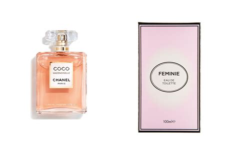 cat with perfume chanel|Best Coco Chanel Perfume Dupes 2024 – 8 Scents That Smell Just Lik.